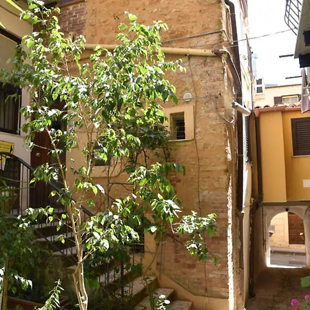 Garden In The